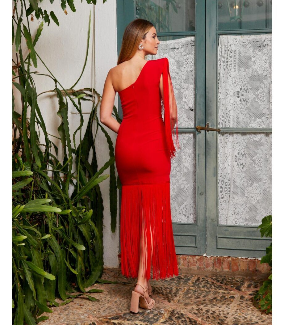 Vestido - J150 - Marta en Brazil - Imagen 2